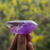 Ametrine Free Form